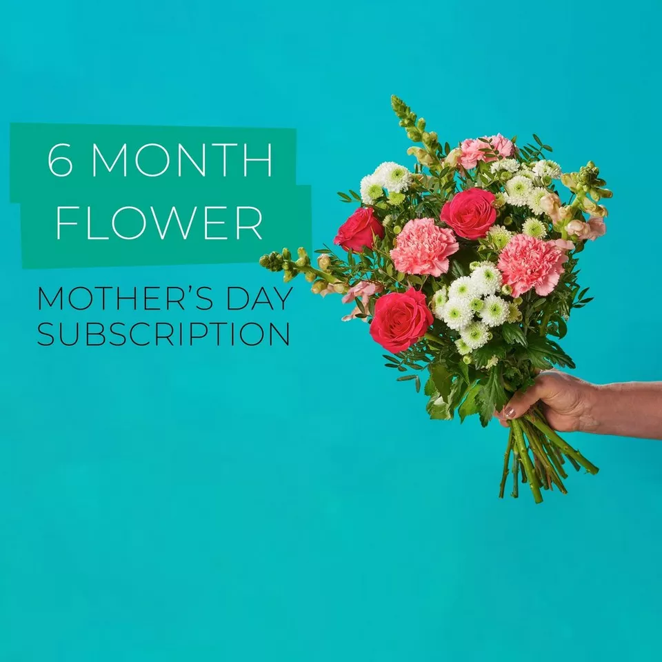 Mothers Day 6 Month Subscription