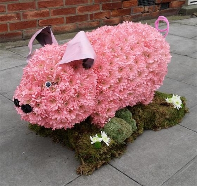 3d pig