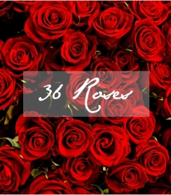 Sweetheart Sherberts 36 roses