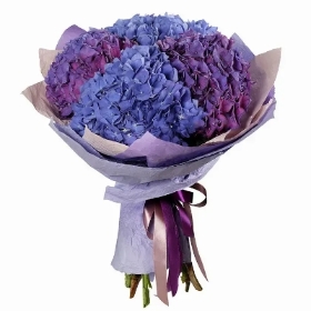 BOUQUET OF THE WEEK